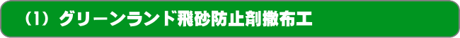 (1)グリーンランド飛砂防止剤撒布工